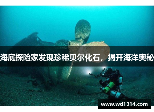 海底探险家发现珍稀贝尔化石，揭开海洋奥秘