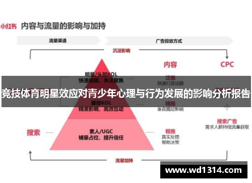 竞技体育明星效应对青少年心理与行为发展的影响分析报告