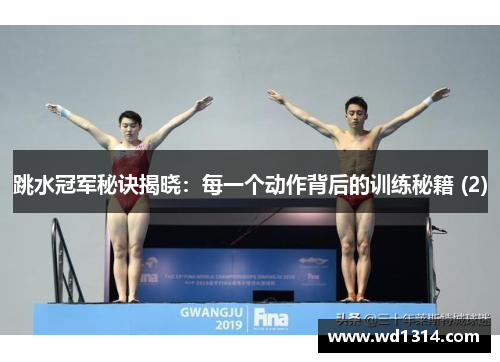 跳水冠军秘诀揭晓：每一个动作背后的训练秘籍 (2)