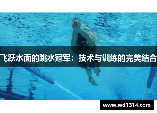 飞跃水面的跳水冠军：技术与训练的完美结合